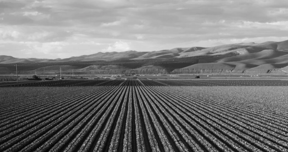 Inner header background